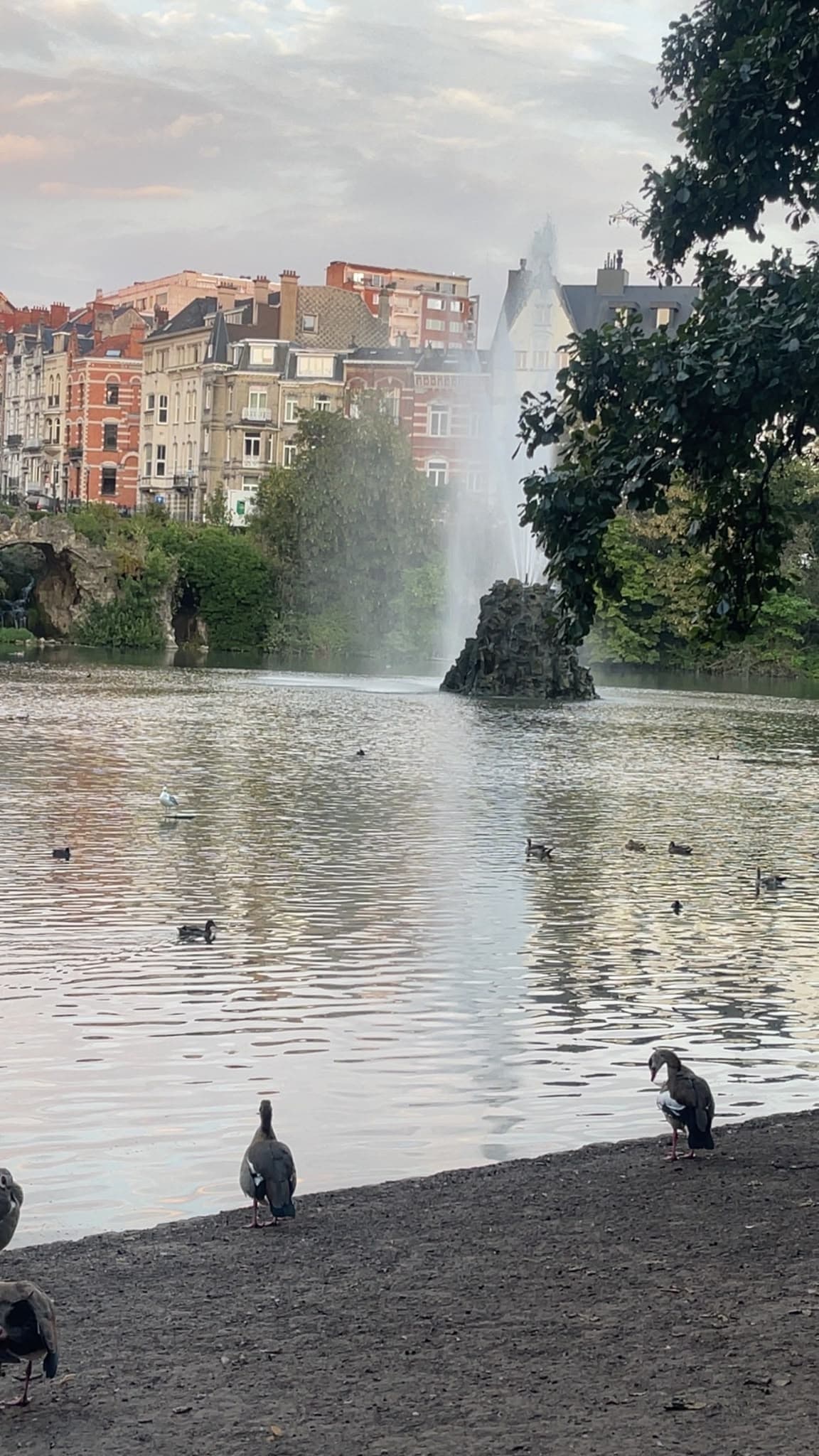 A calm Brussels park lake and fountain